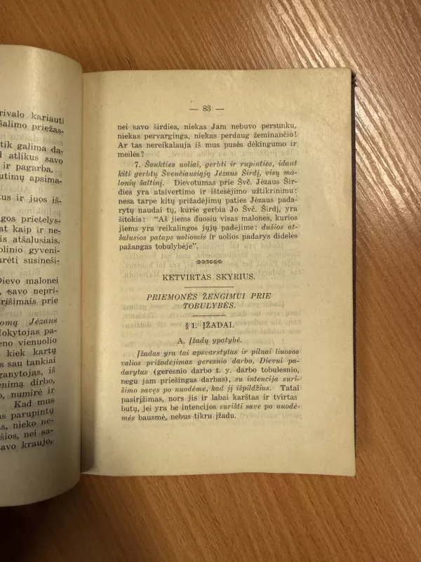 Dvasiškojo gyvenimo vadovėlis - A. Staniukynas, knyga 5