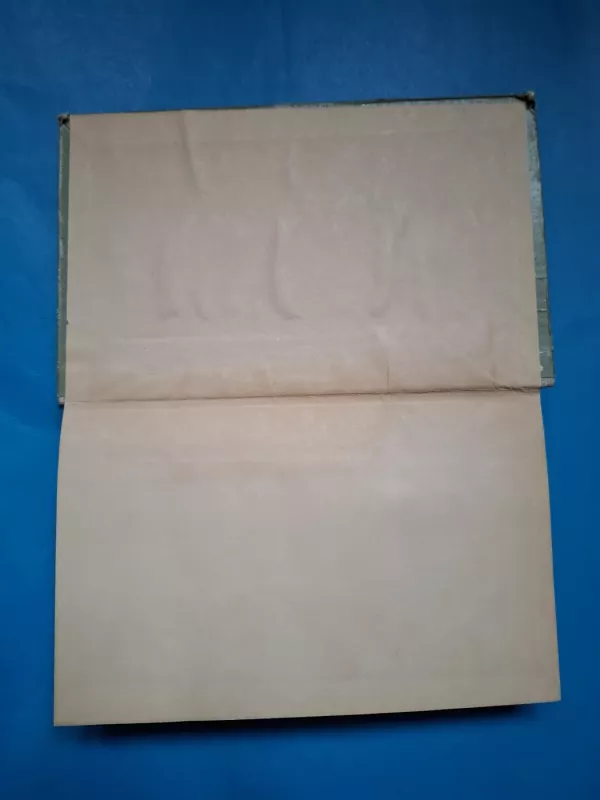 Be šeimos - Hektoras Malo, knyga 3