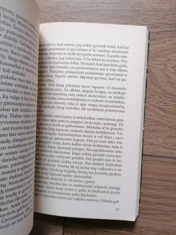 Sodas už horizonto - Aloyzas Baronas, knyga 3