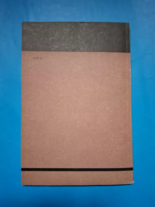 Statyba ir architektūra, XIX. Architektūra ir miestų statyba, 9 - Autorių kolektyvas (įvairūs), knyga 6