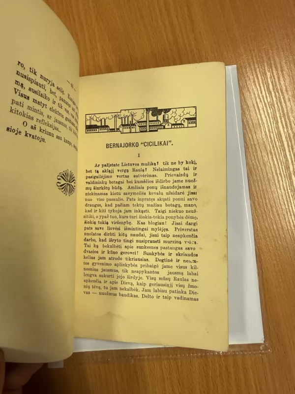 Braižinėliai - Skruzdė, knyga 6