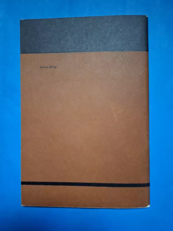 Statyba ir architektūra, XVII. Architektūra ir miestų statyba, 7 - Autorių kolektyvas (įvairūs), knyga 6