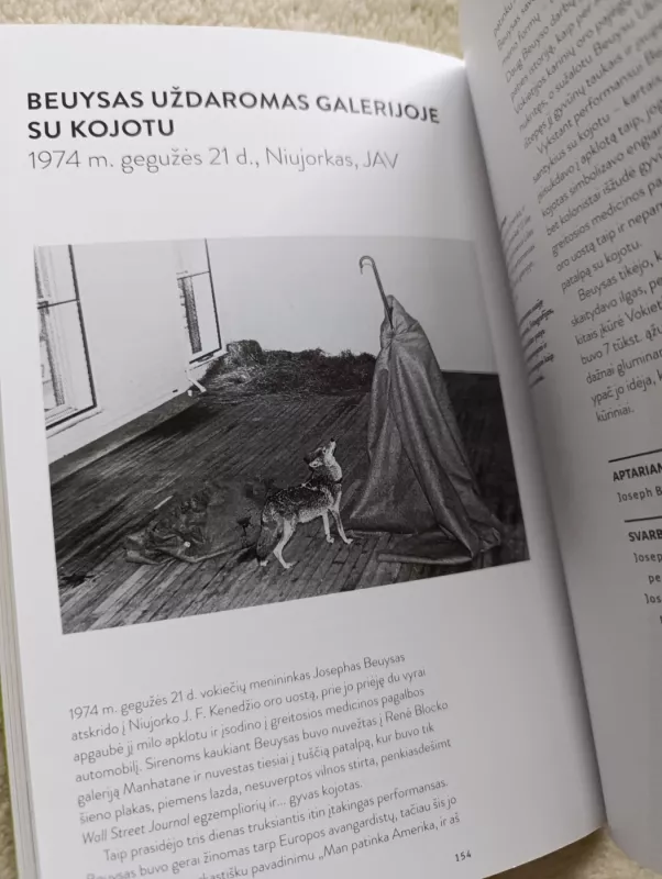 Svarbiausi meno įvykiai - Lee Cheshire, knyga 4