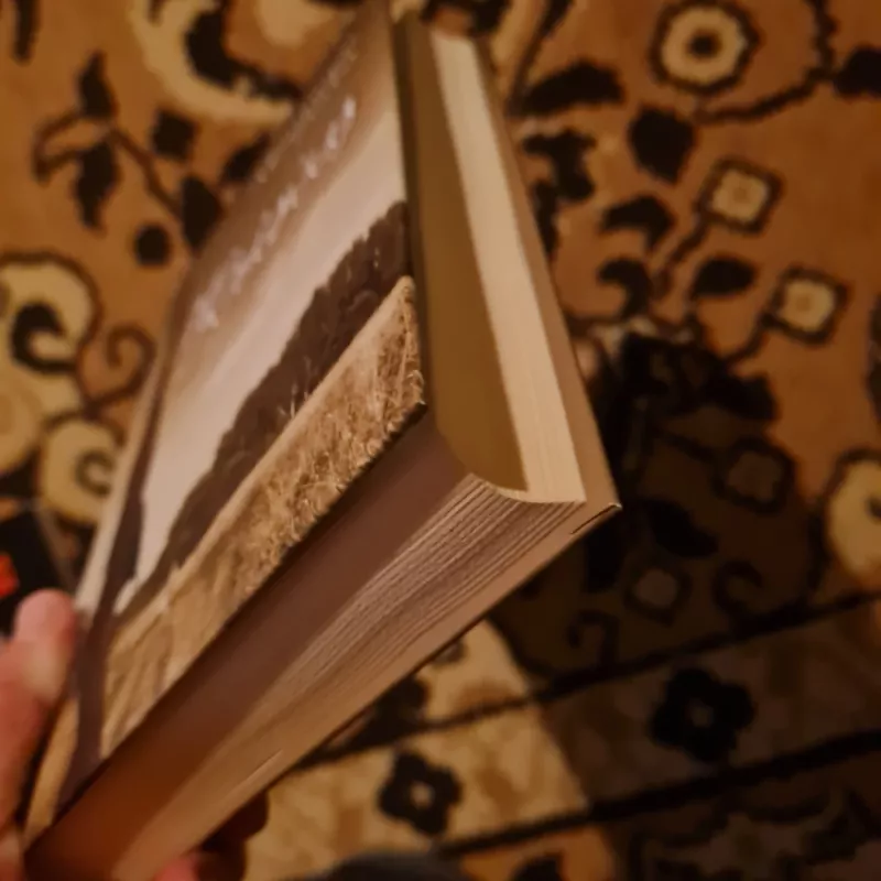 Krisius - Algimantas Zurba, knyga 3