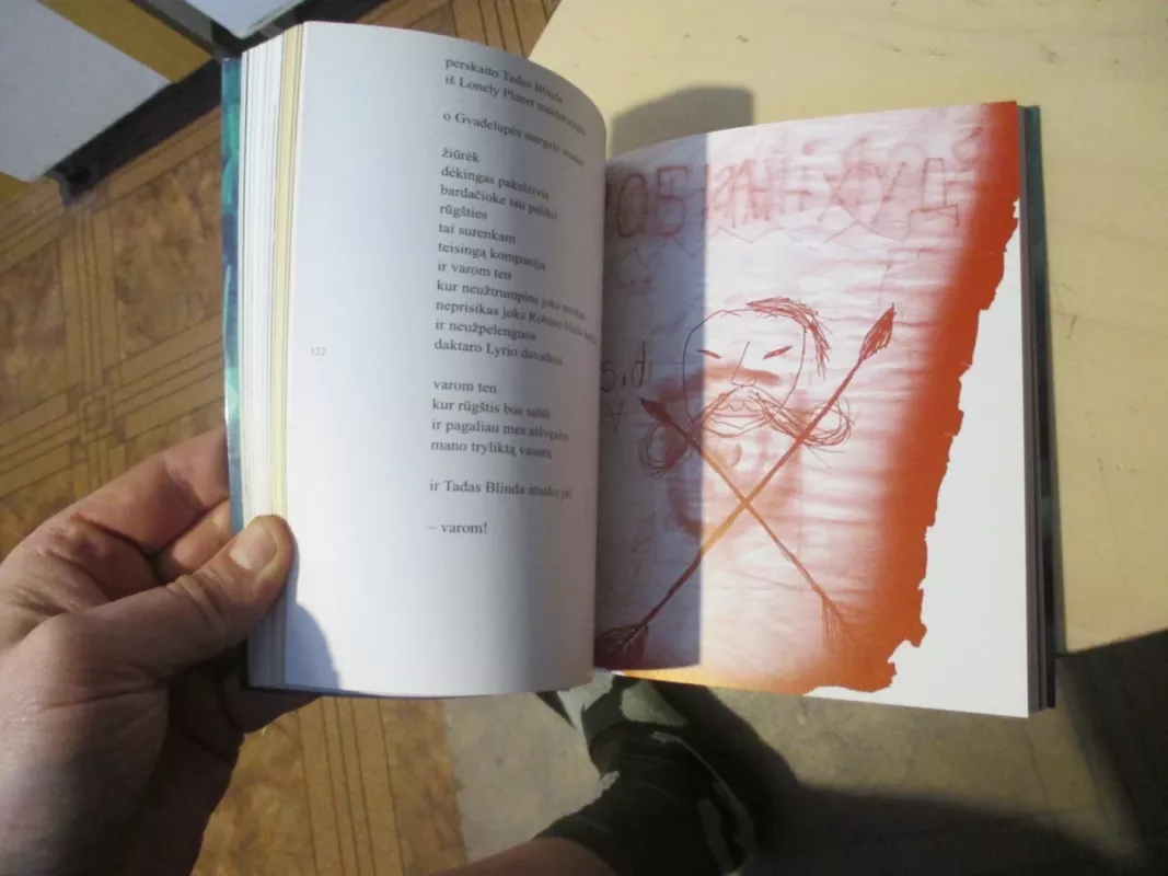 Šamanas - Mantas Gimžauskas, knyga 6