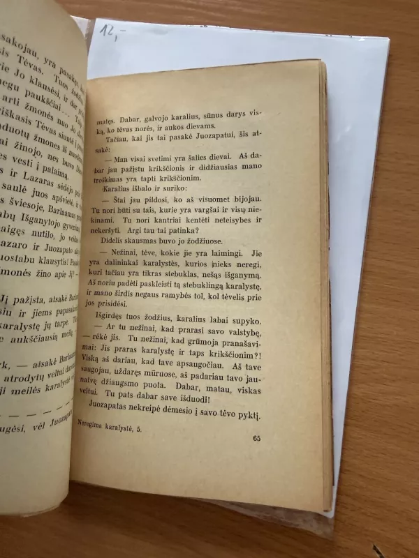 Neregima karalystė - Marga Thomė, knyga 6