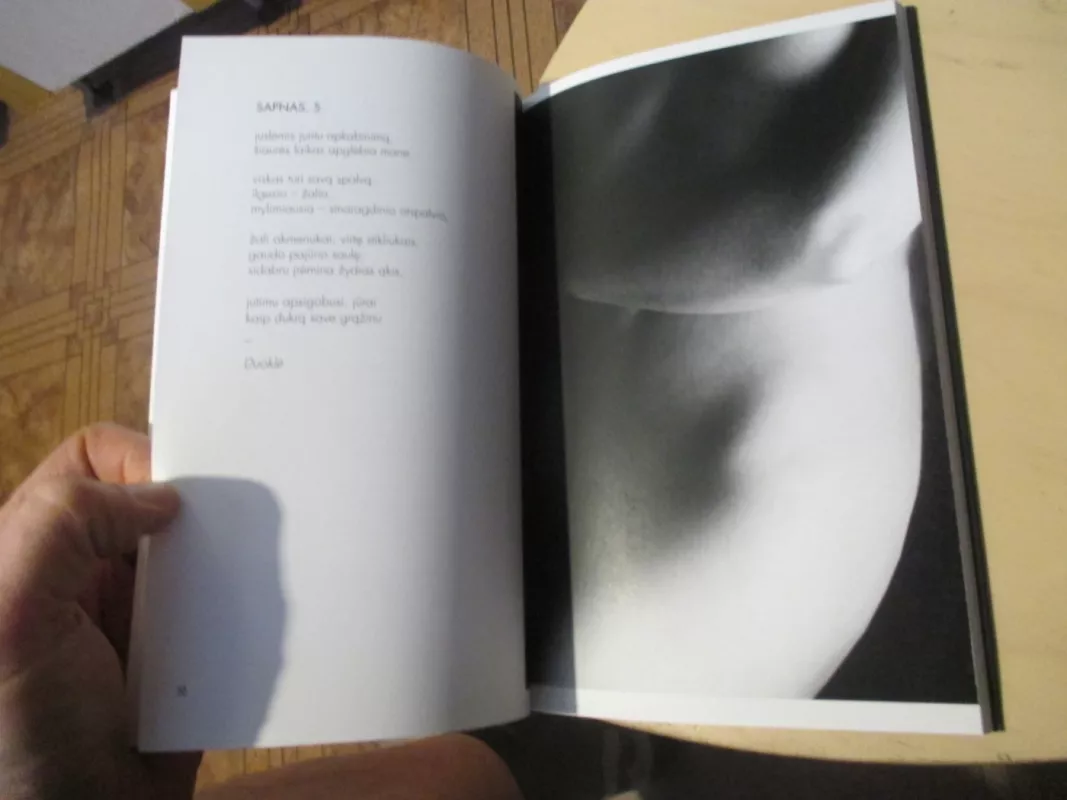 Miego užrašai - Ona Marija Dy Urbšytė, knyga 6