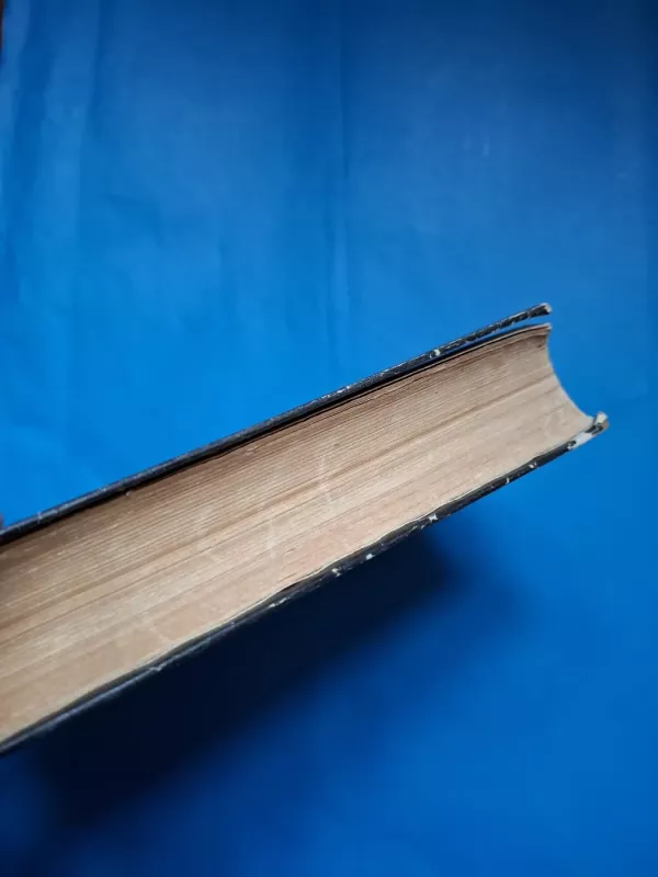 Dombis ir sūnus (I tomas) - Charles Dickens, knyga 6