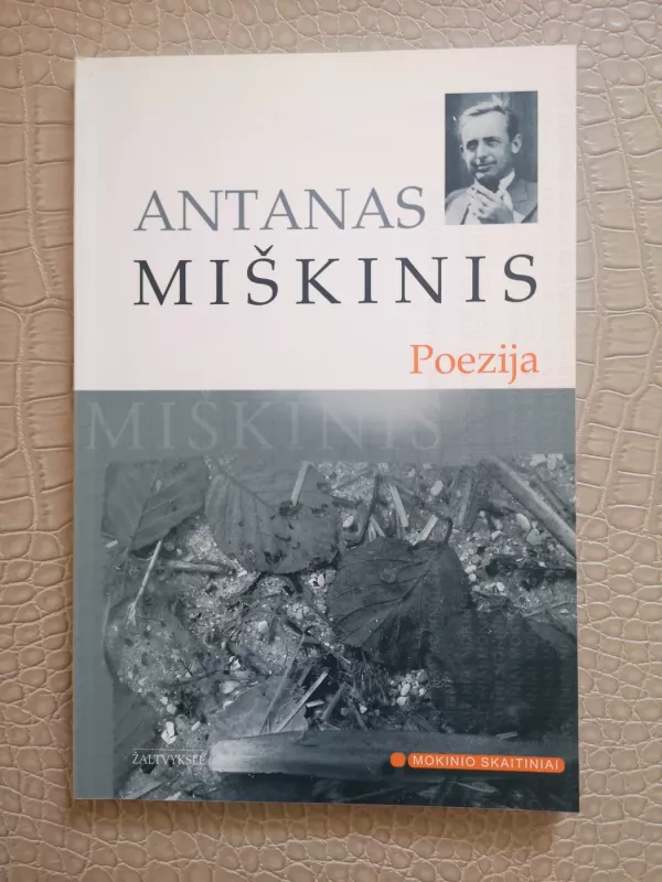Poezija - Antanas Miškinis, knyga 2