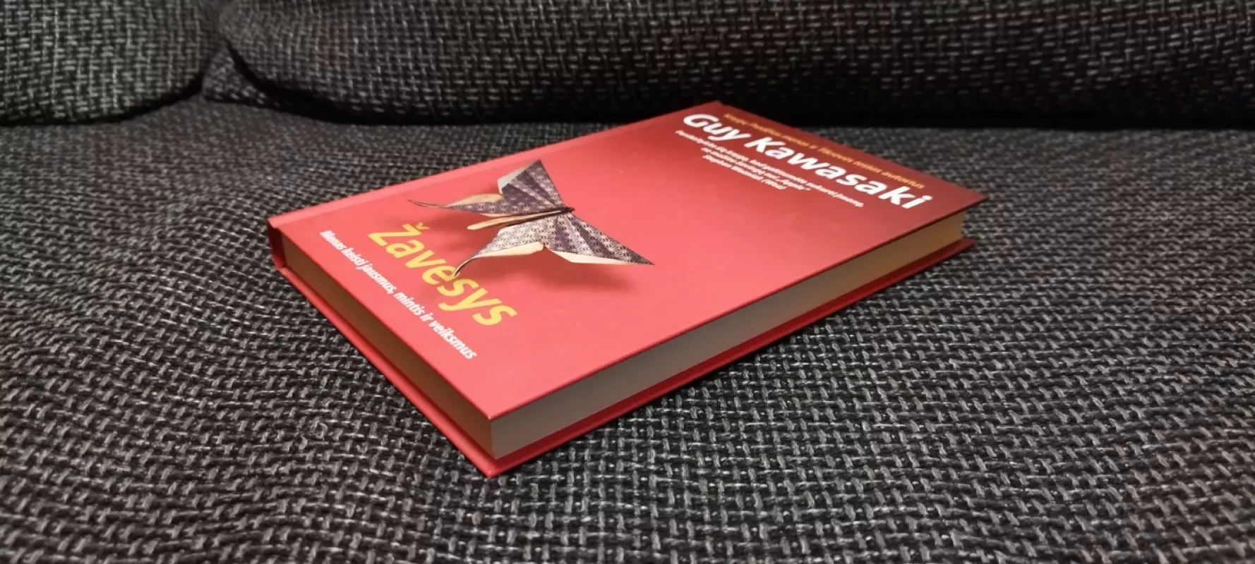 Žavesys. Menas keisti jausmus, mintis ir veiksmus - Kawasaki Guy, knyga 4