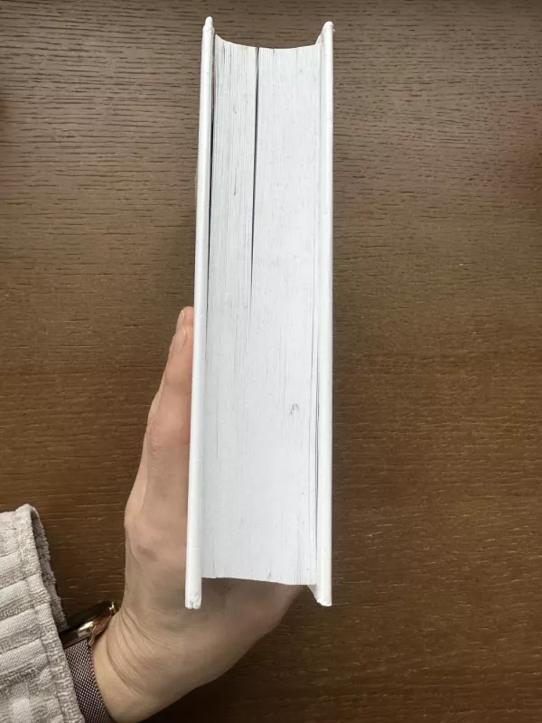 Pasaulis yra plokščias - Thomas Friedman, knyga 3