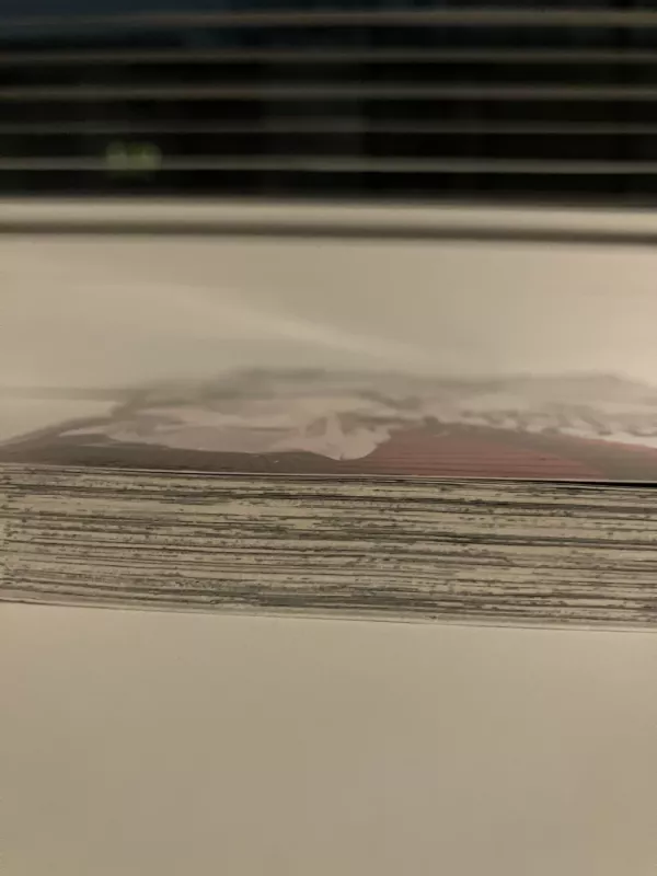 The DEMON PRINCE of MOMOCHI HOUSE - Aya Shouoto, knyga 4