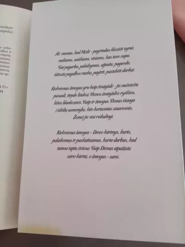 Juodojo Kranto žvejai - ALDONA BALSEVIČIENĖ, knyga 5