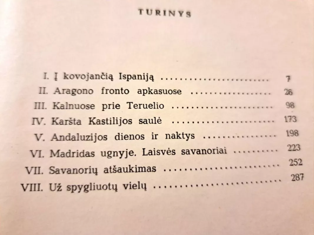 Ten, už kalnų Ispanija - Andrius Bulota, knyga 5
