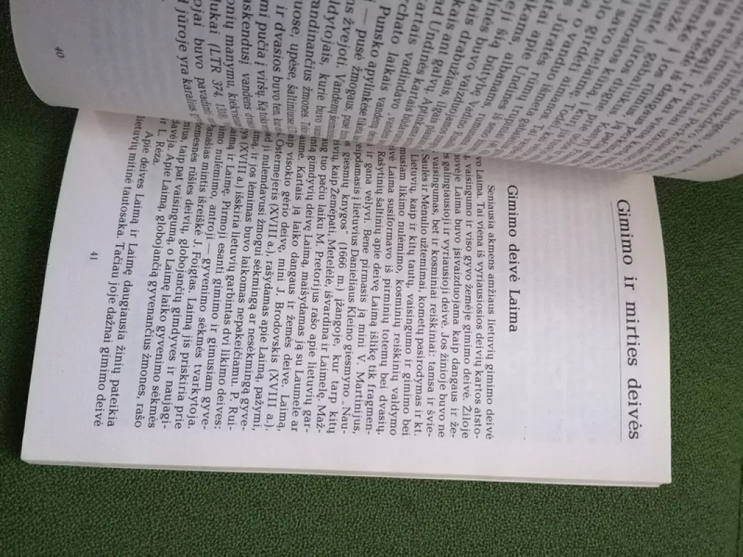 Pagonybė Lietuvoje - Pranė Dundulienė, knyga 6