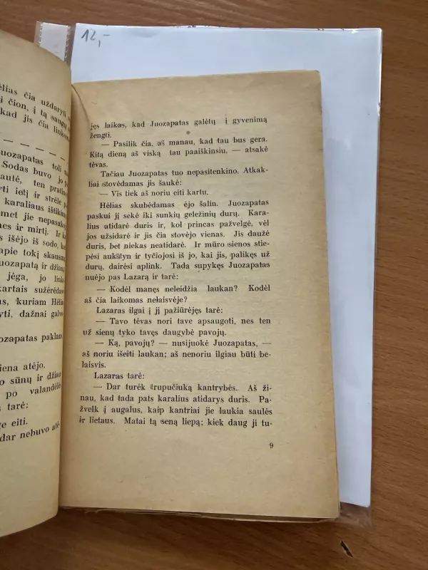 Neregima karalystė - Marga Thomė, knyga 4