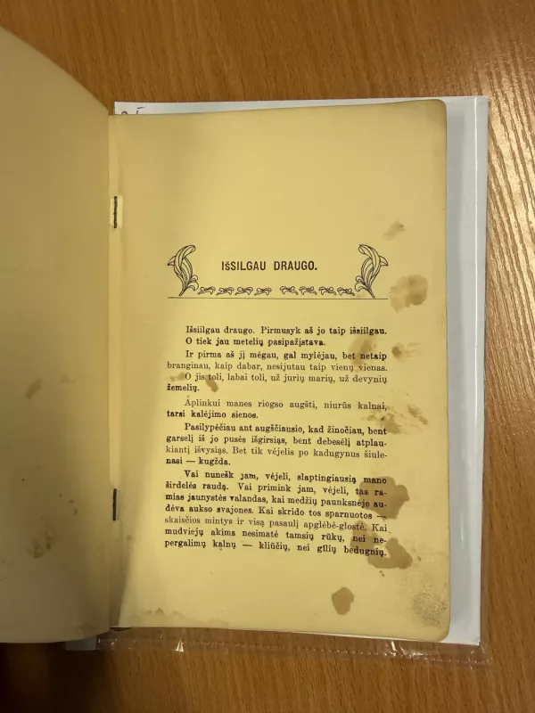 Braižinėliai - Skruzdė, knyga 4