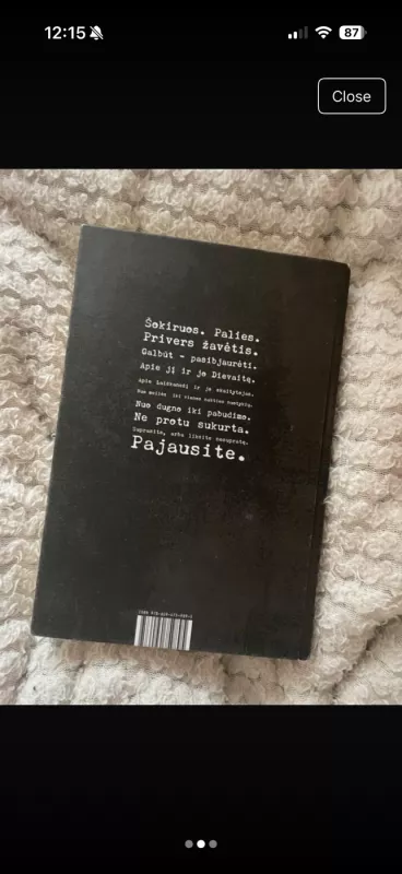 Dievaitė - Laiškanešys, knyga 2