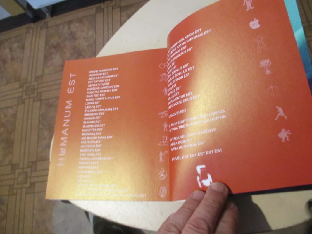 Šamanas - Mantas Gimžauskas, knyga 4