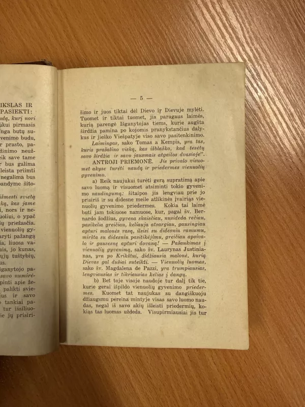 Dvasiškojo gyvenimo vadovėlis - A. Staniukynas, knyga 4