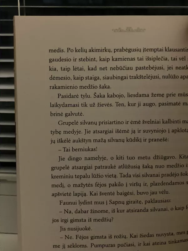 Tigro beieškant - Colleen Houck, knyga 4