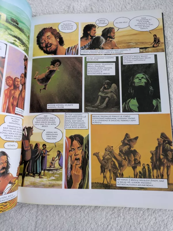 Iliustruota Biblija - Jeff Anderson, knyga 4