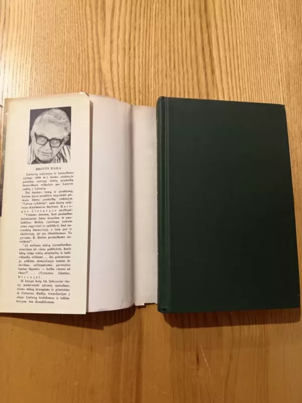 Kitokios Lietuvos ilgesys - B. Raila, knyga 3