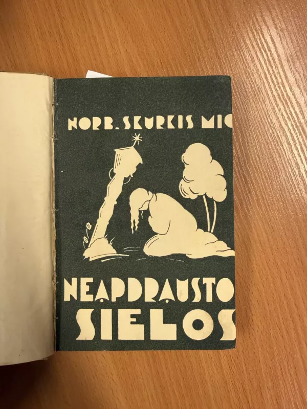 Neapdraustos sielos - N. Skurkis, knyga 2