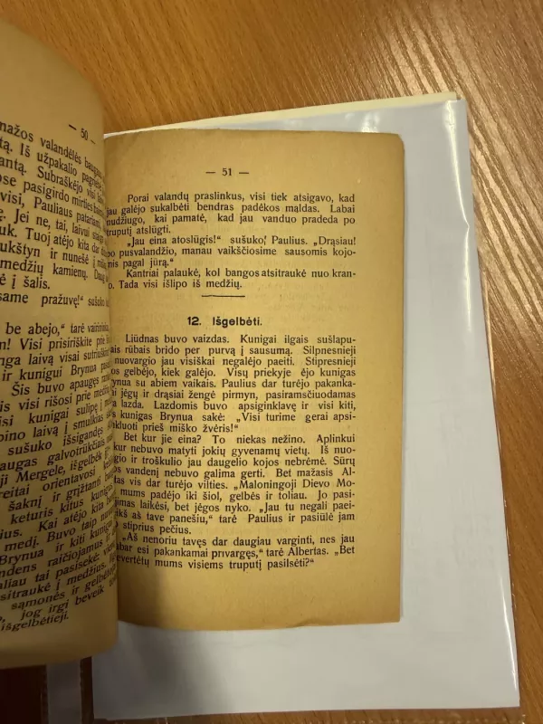 Du jauni jūrininkai - Joseph Spilmann, knyga 6