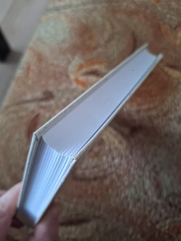 Durniškės - Vytautas Petkevičius, knyga 3