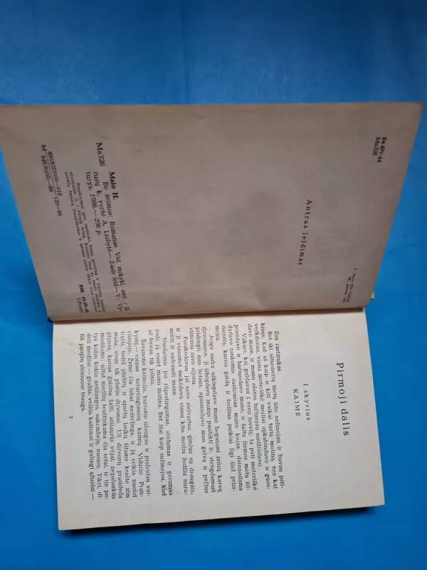 Be šeimos - Hektoras Malo, knyga 5