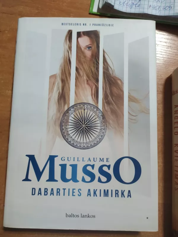 Dabarties akimirka - Guillaume Musso, knyga 2