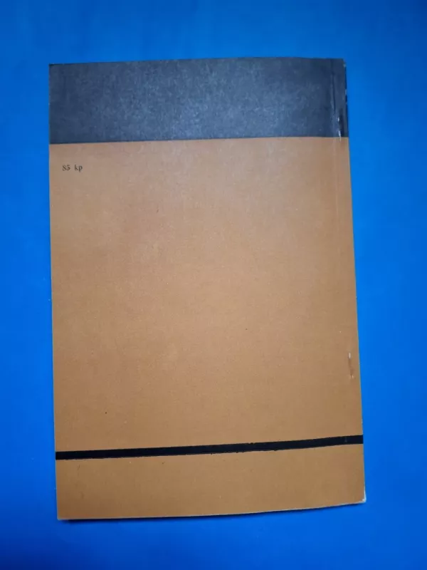 Statyba ir architektūra, XVIII. Architektūra ir miestų statyba, 8 - Autorių kolektyvas (įvairūs), knyga 6