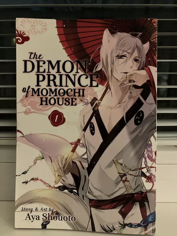 The DEMON PRINCE of MOMOCHI HOUSE - Aya Shouoto, knyga 2
