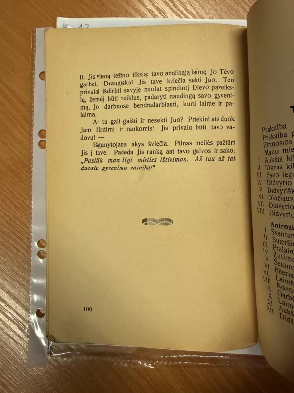Jauni didvyriai : jauniems vyrams vadovas į aukštesnį, kilnesnį gyvenimą - Hardy Schilgen, knyga 6