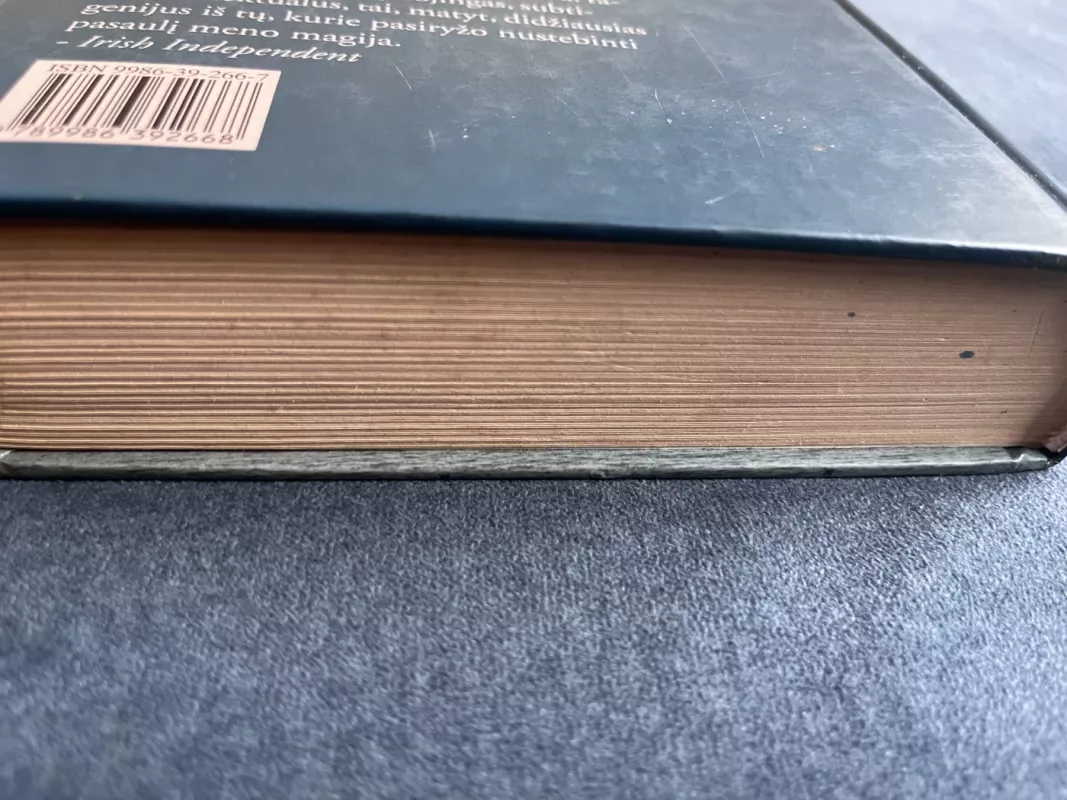 Ulisas: romanas. 1 knyga (1-12 epizodai) - James Joyce, knyga 4