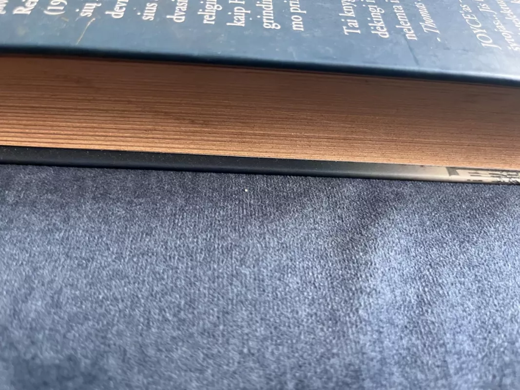 Ulisas: romanas. 1 knyga (1-12 epizodai) - James Joyce, knyga 3