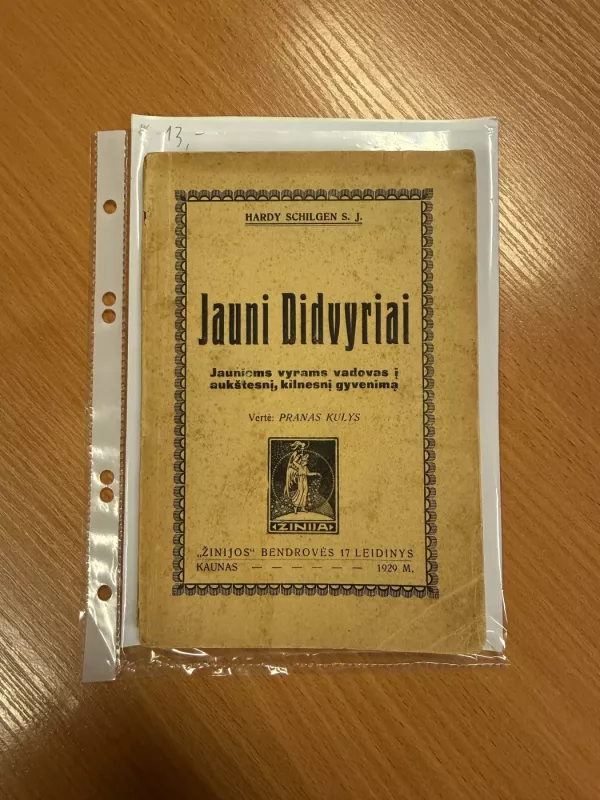 Jauni didvyriai : jauniems vyrams vadovas į aukštesnį, kilnesnį gyvenimą - Hardy Schilgen, knyga 2