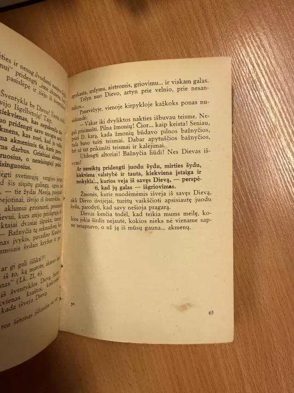 Neapdraustos sielos - N. Skurkis, knyga 6