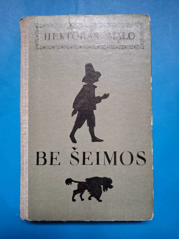 Be šeimos - Hektoras Malo, knyga 2