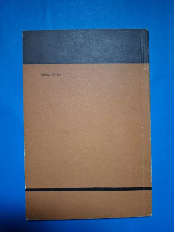 statyba ir architektūra XV Architektūra ir miestų statyba - Autorių Kolektyvas, knyga 4