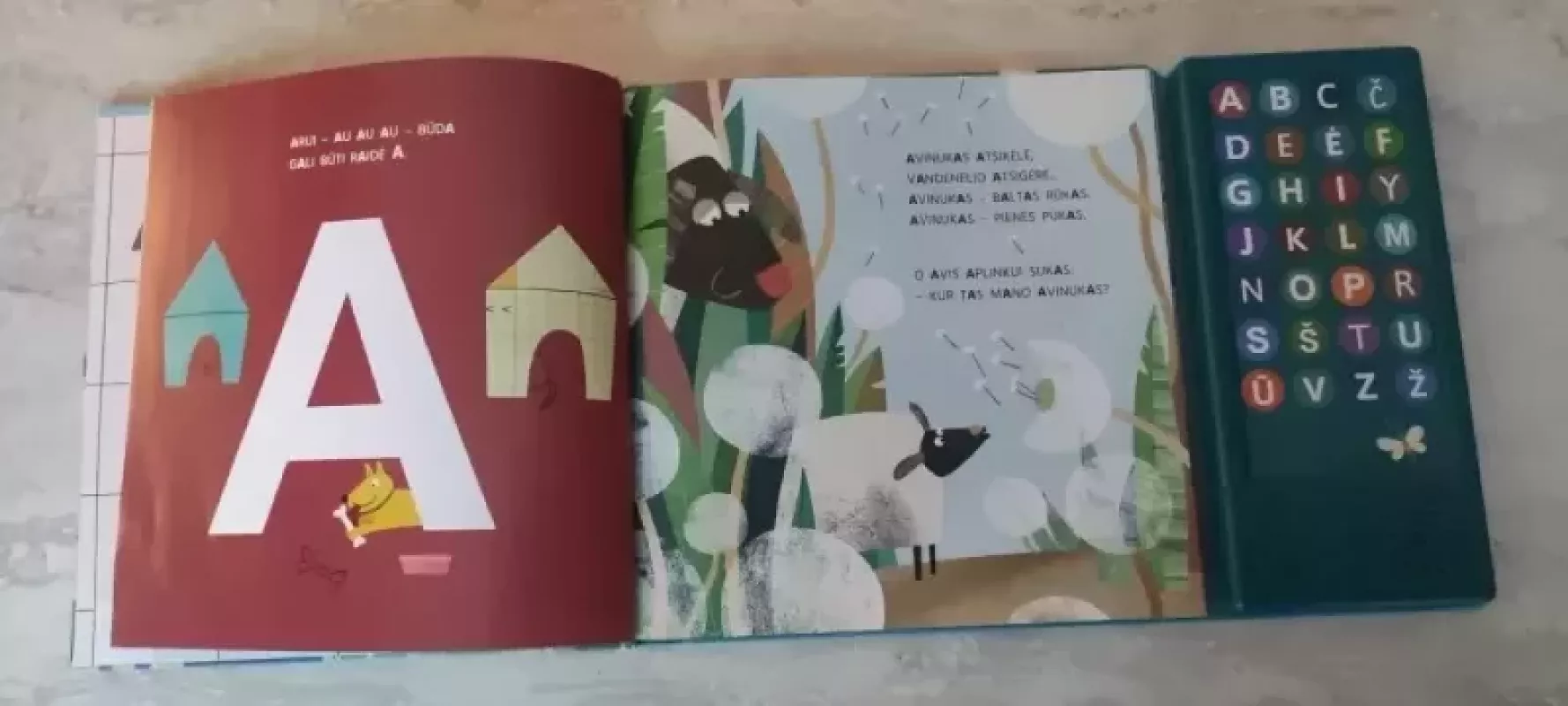 Raidžių namučiai - Ramutė Skučaitė, knyga 3