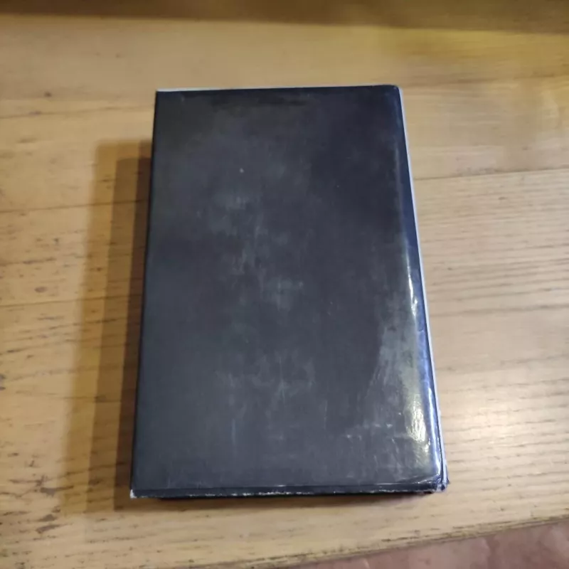 Raštai 4-asis tomas. Altorių šešėly - Vincas Mykolaitis-Putinas, knyga 3