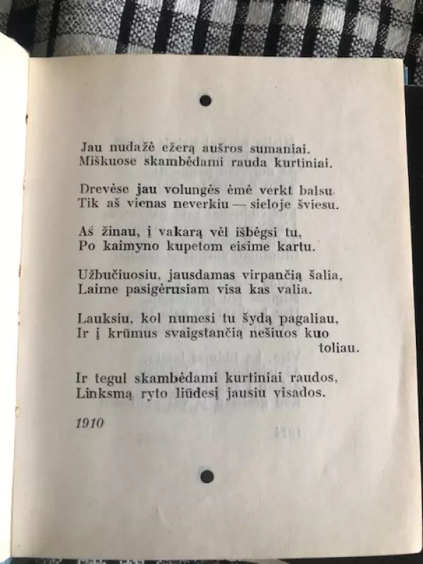 Mėlynas gaisras 1965 (Sergejus Jeseninas) - Sergejus Jeseninas, knyga 6