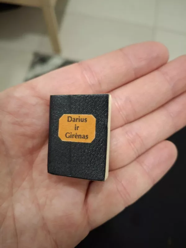 Darius ir Girėnas - Vilius Užtupas, knyga 2