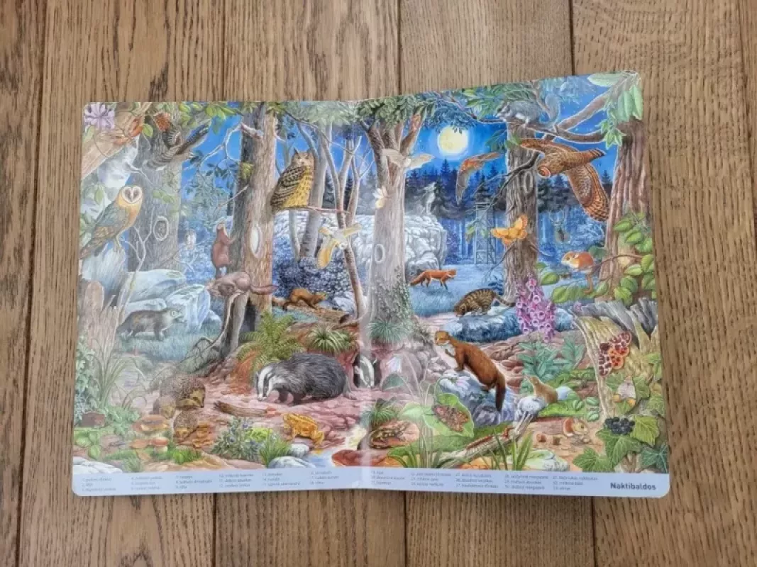 Mano didžioji knyga. Gyvūnai - Anne Suess, knyga 4