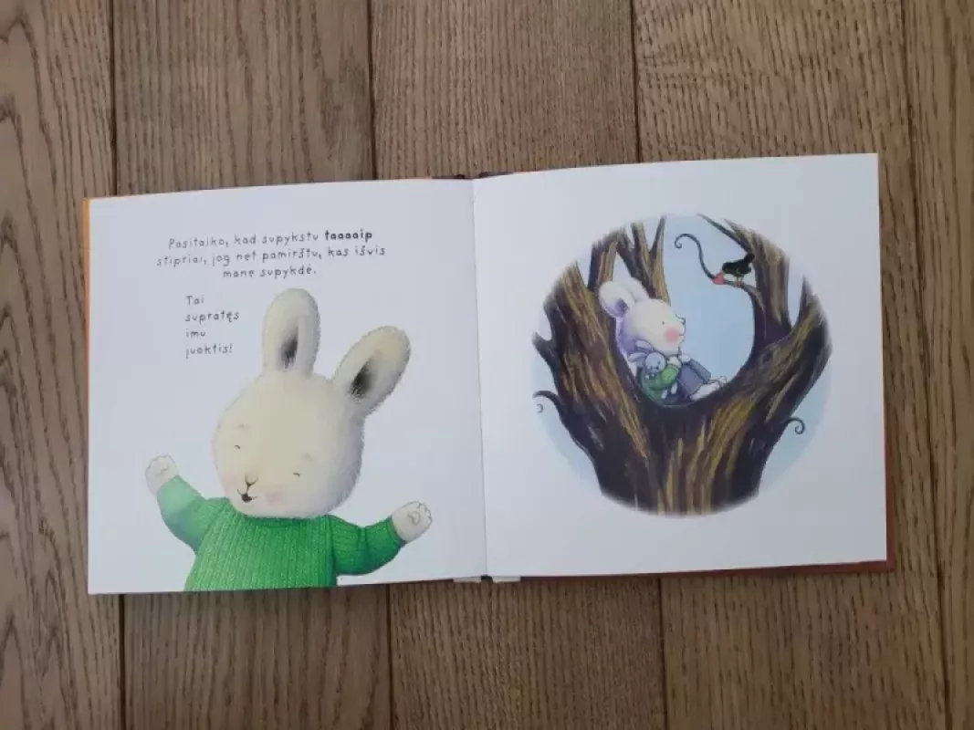 Kai supykstu - Trace Moroney, knyga 3