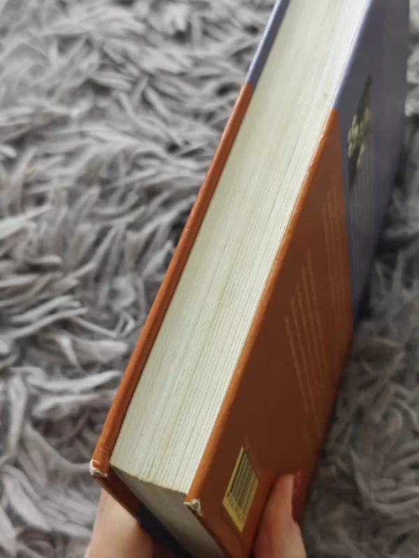 Gydymas Šopenhaueriu - Irvin D. Yalom, knyga 3