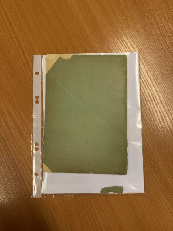 Darbininkai ir jų ateitis 1908 - Rčk, knyga 6