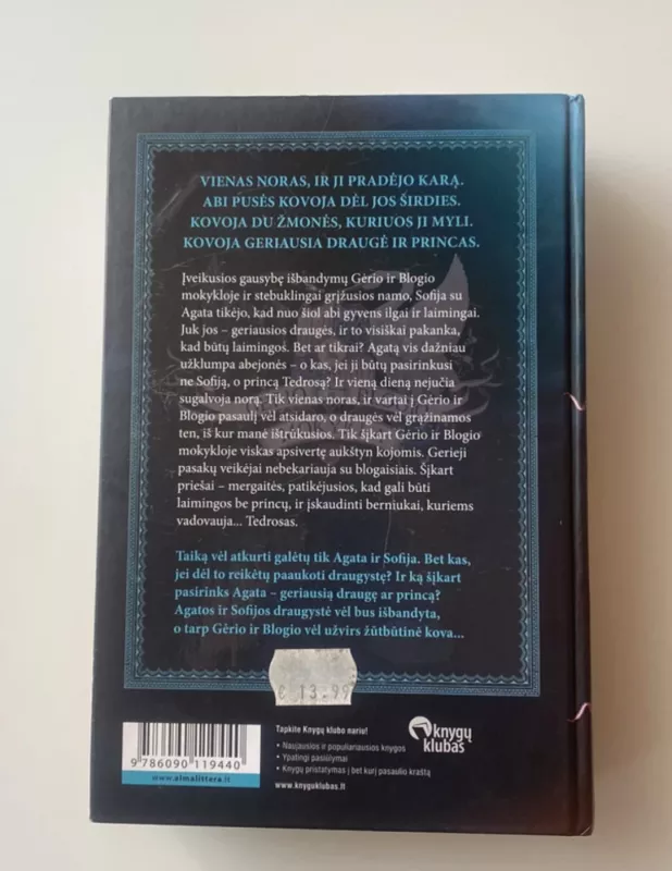 Gėrio ir blogio mokykla. Pasaulis be princų - Soman Chainani, knyga 3